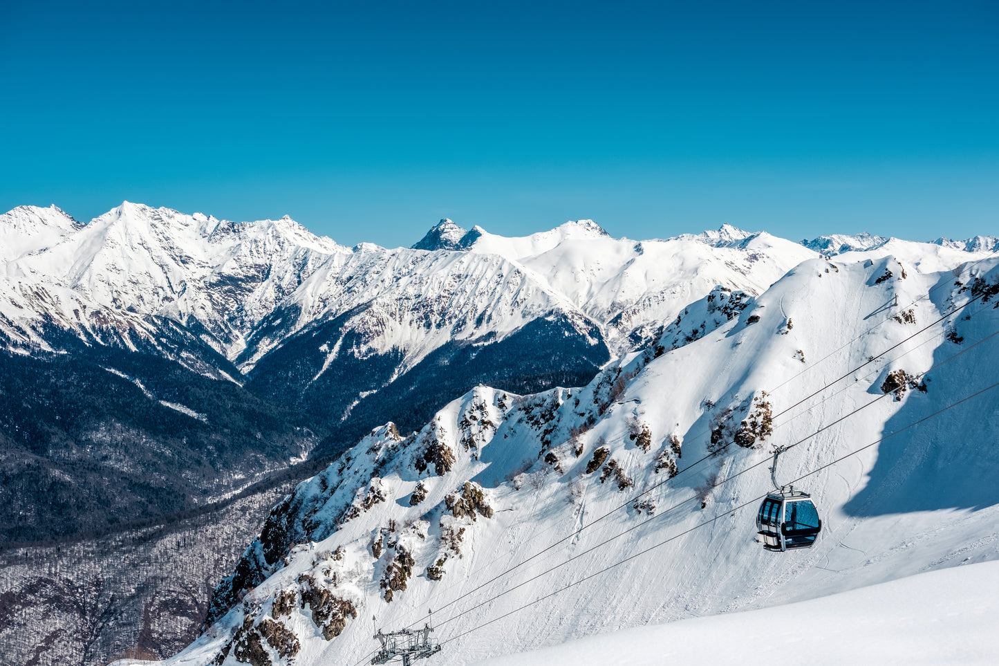 Powder Sochi